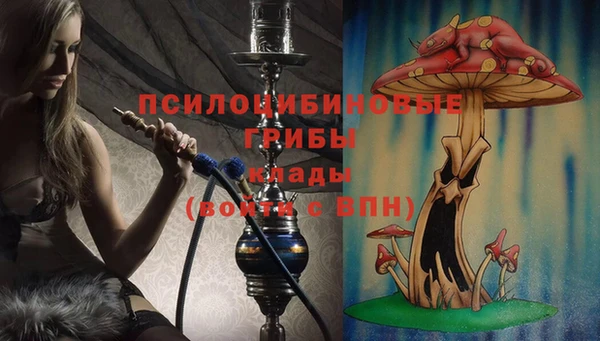 крисы Гусиноозёрск